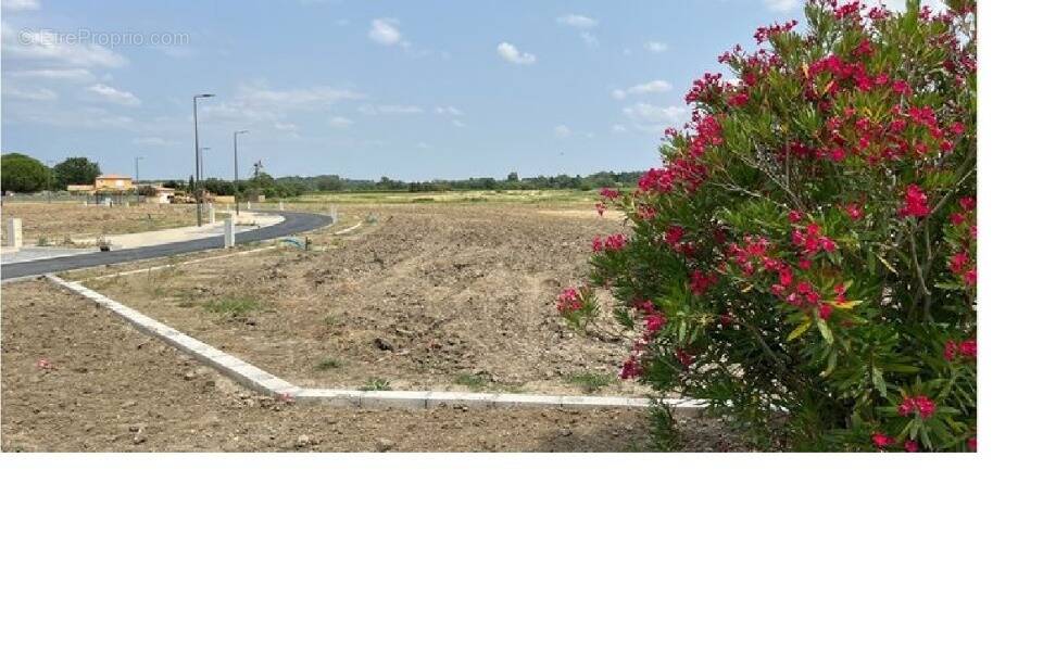 Terrain à VILLESEQUELANDE