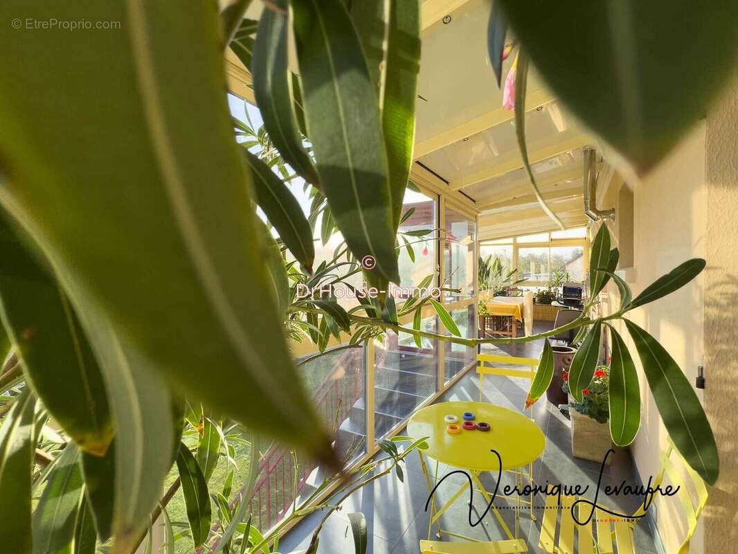 Maison à SAINT-GEORGES-D&#039;ELLE