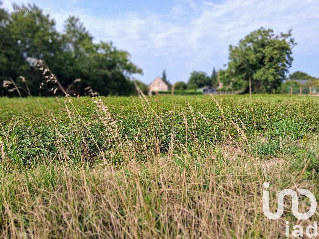 Photo 1 - Terrain à SAINT-VINCENT-SUR-OUST