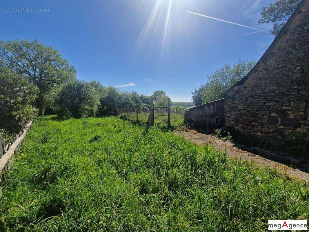 Maison - dépendance - Terrain 2390 m² - Bâtiment de 300 m² - idéal jardin - photo 10