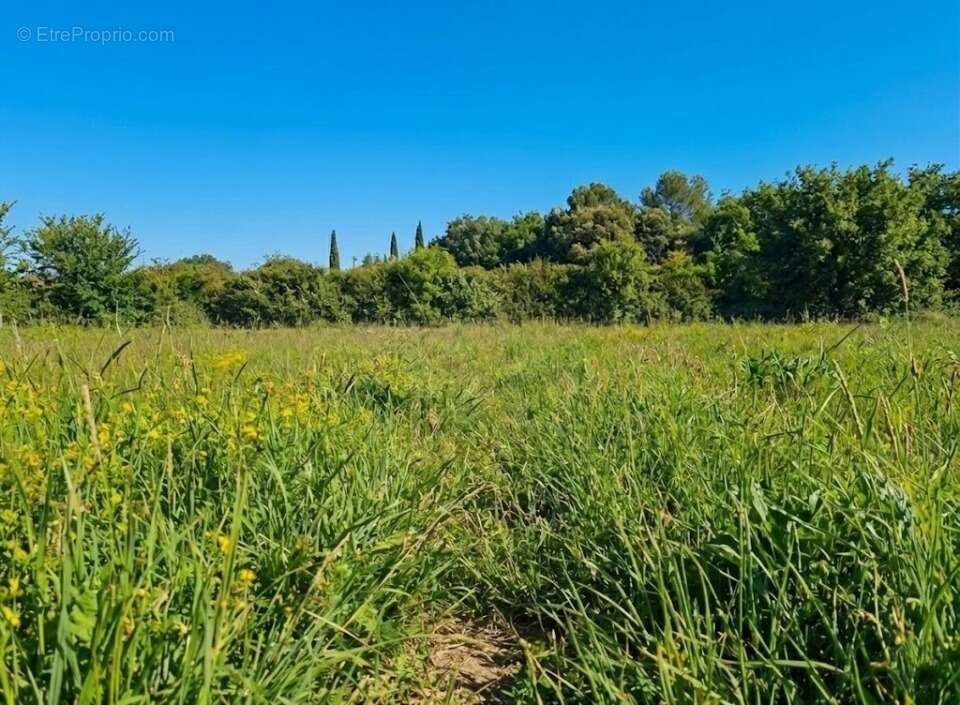 Terrain 557 m² à Allex  - photo 4