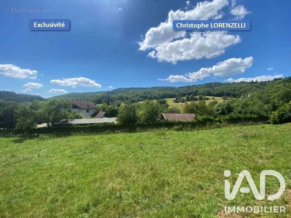 Terrain 1078 m² à Saint-Pierre-De-Curtille  - photo 3