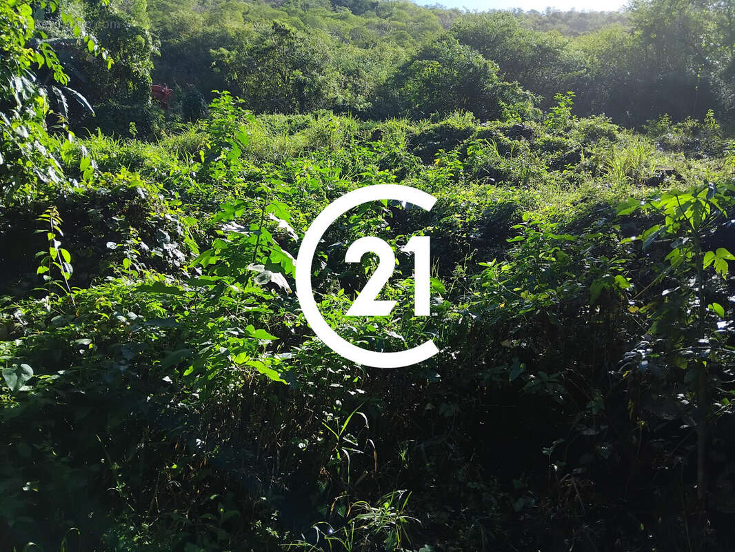 Terrain à BELLEFONTAINE