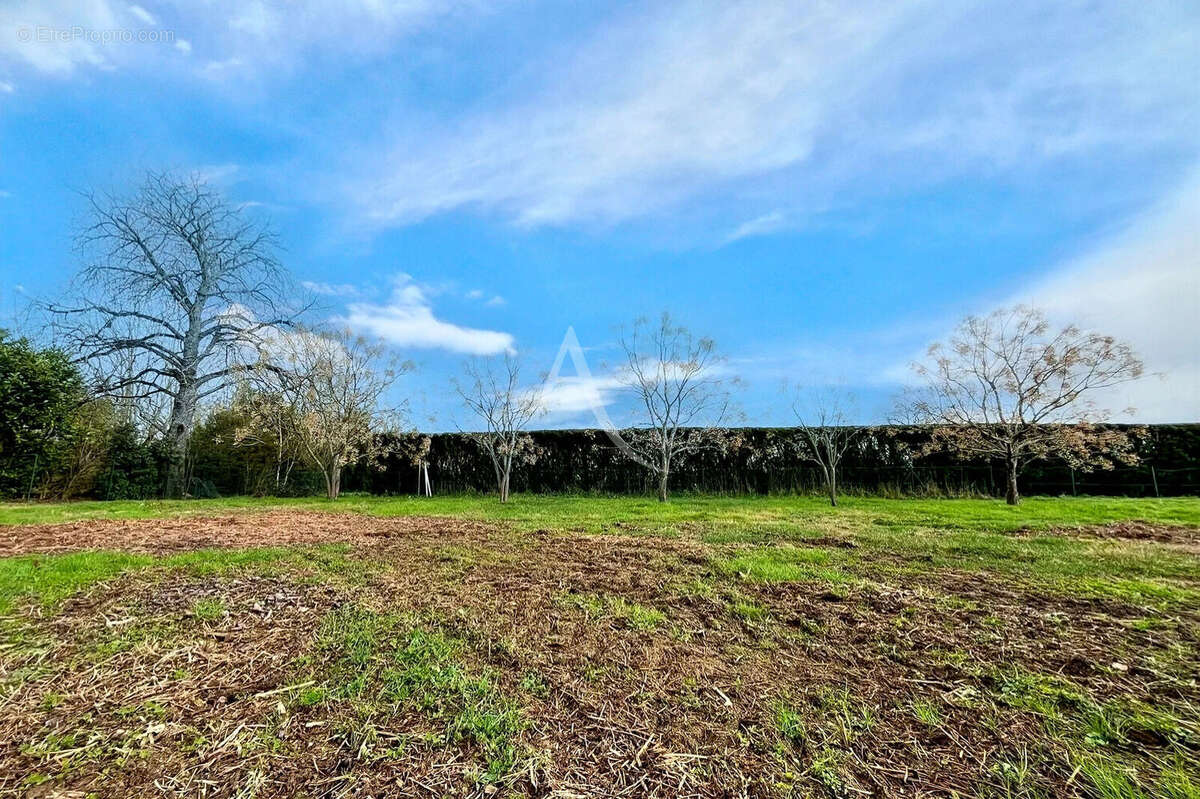Terrain constructible, viabilisé et arboré de 978 m² - photo 3