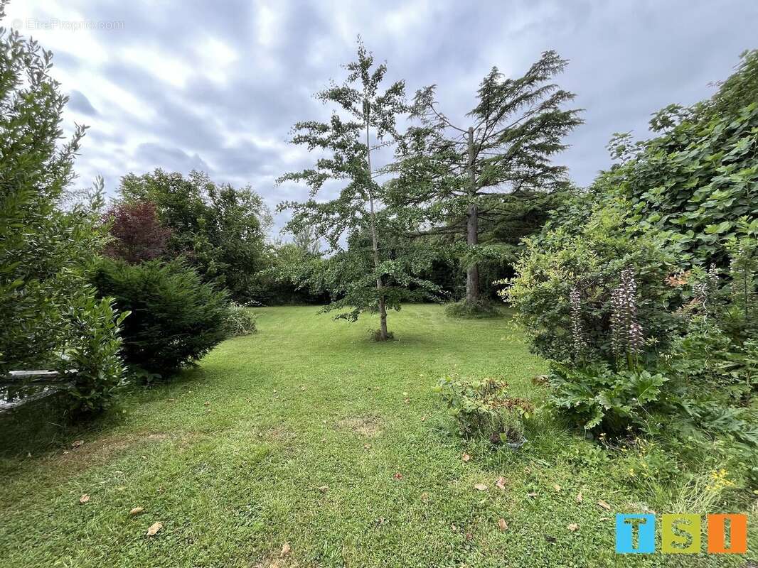 Maison à MONTREJEAU