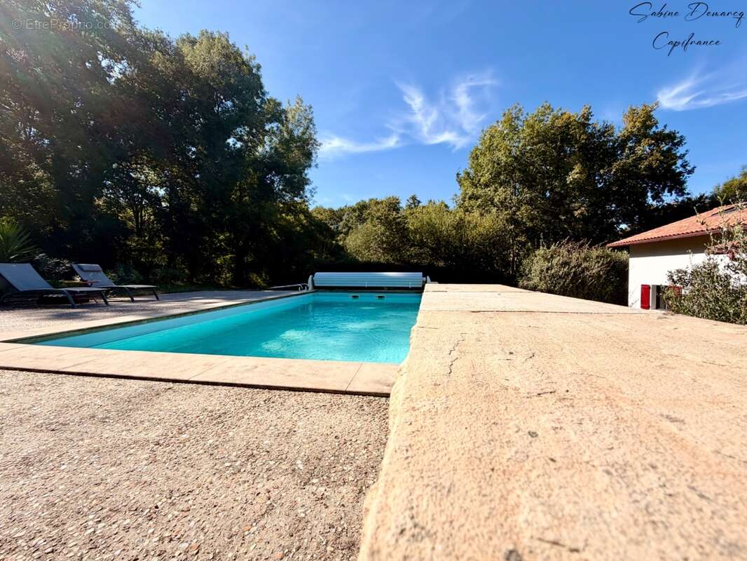 En EXCLUSIVITÉ - Maison Contemporaine avec piscine à ASCAIN - photo 5