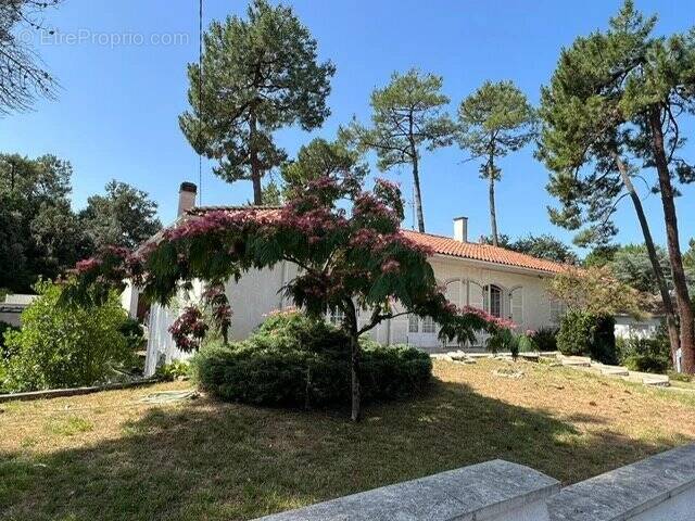 Maison à SAINT-GEORGES-DE-DIDONNE