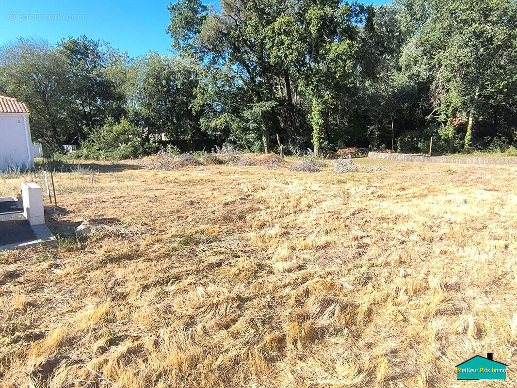 Terrain à SAINT-HILAIRE-DE-RIEZ