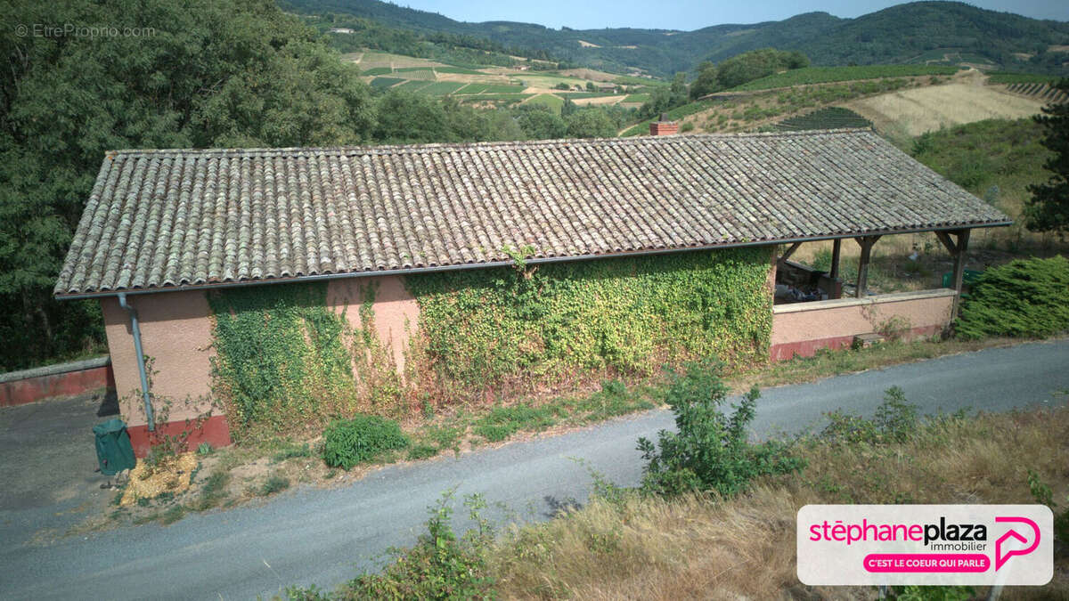 Cuvage et parcelles à Fleurie + 5 ha - photo 6
