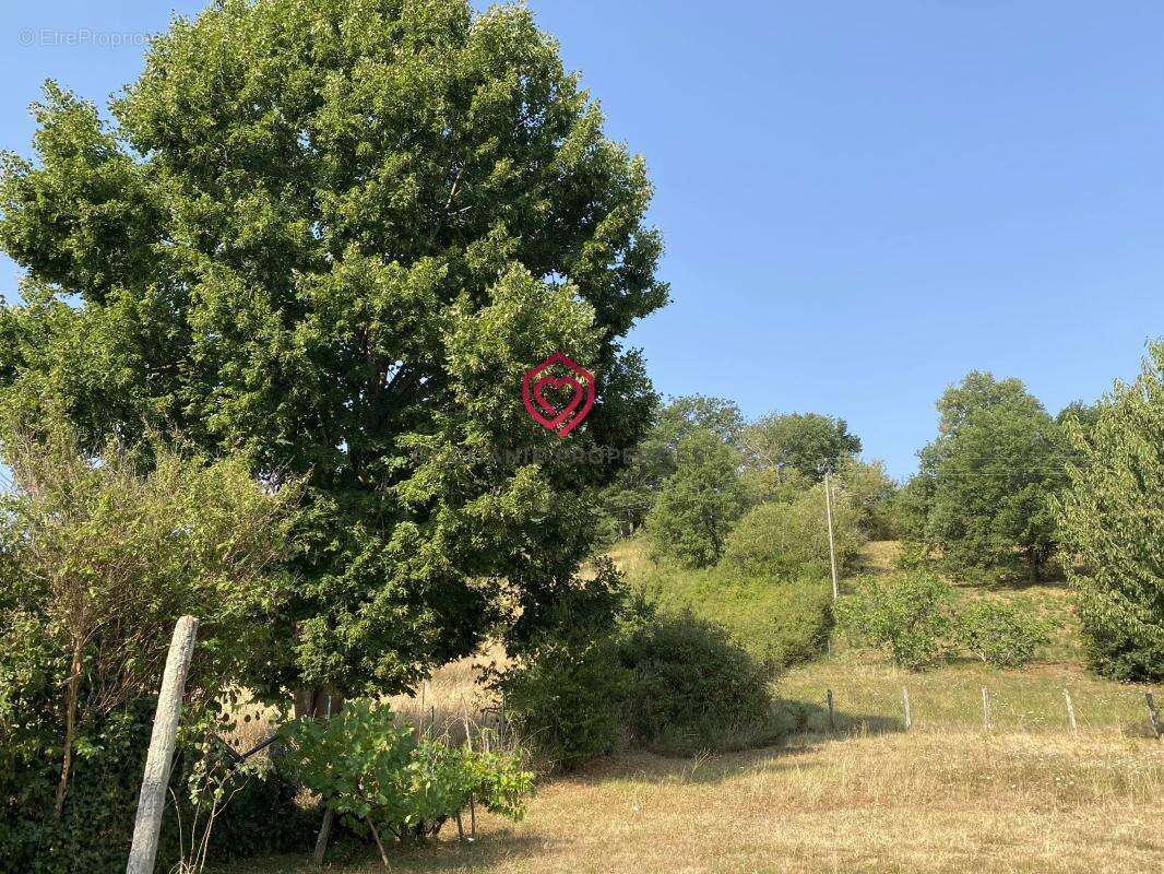 Maison de village avec terrain arboré au cœur de la vallée de la Lèze - photo 2
