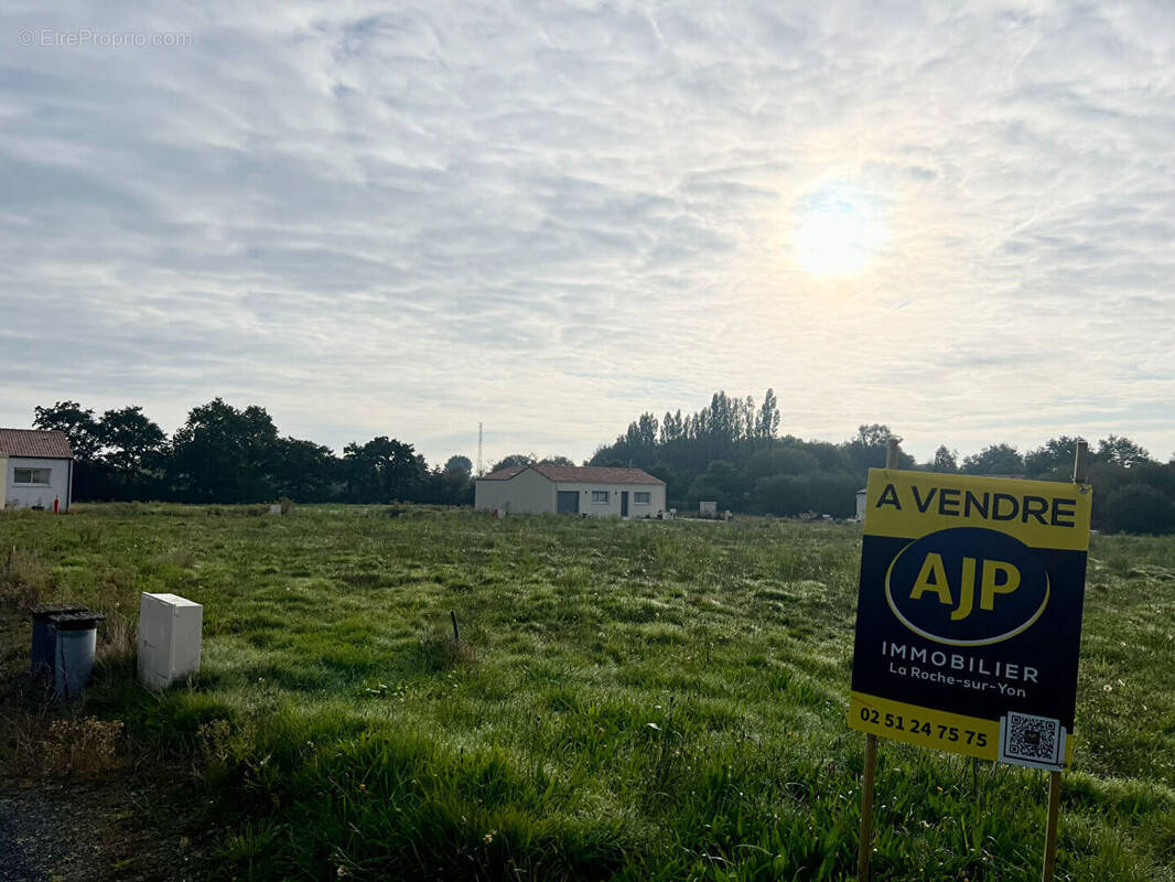 Terrain à LE POIRE-SUR-VIE