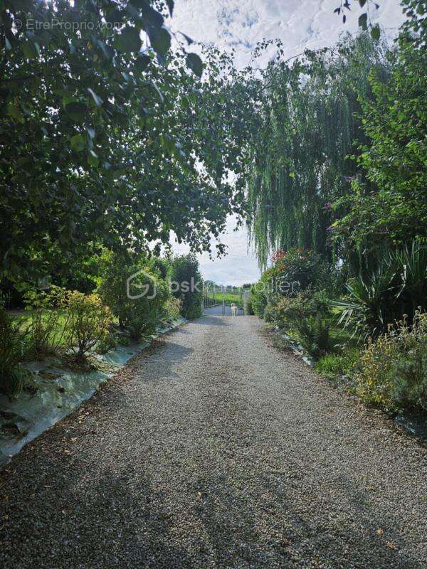 Maison sept chambres - photo 28