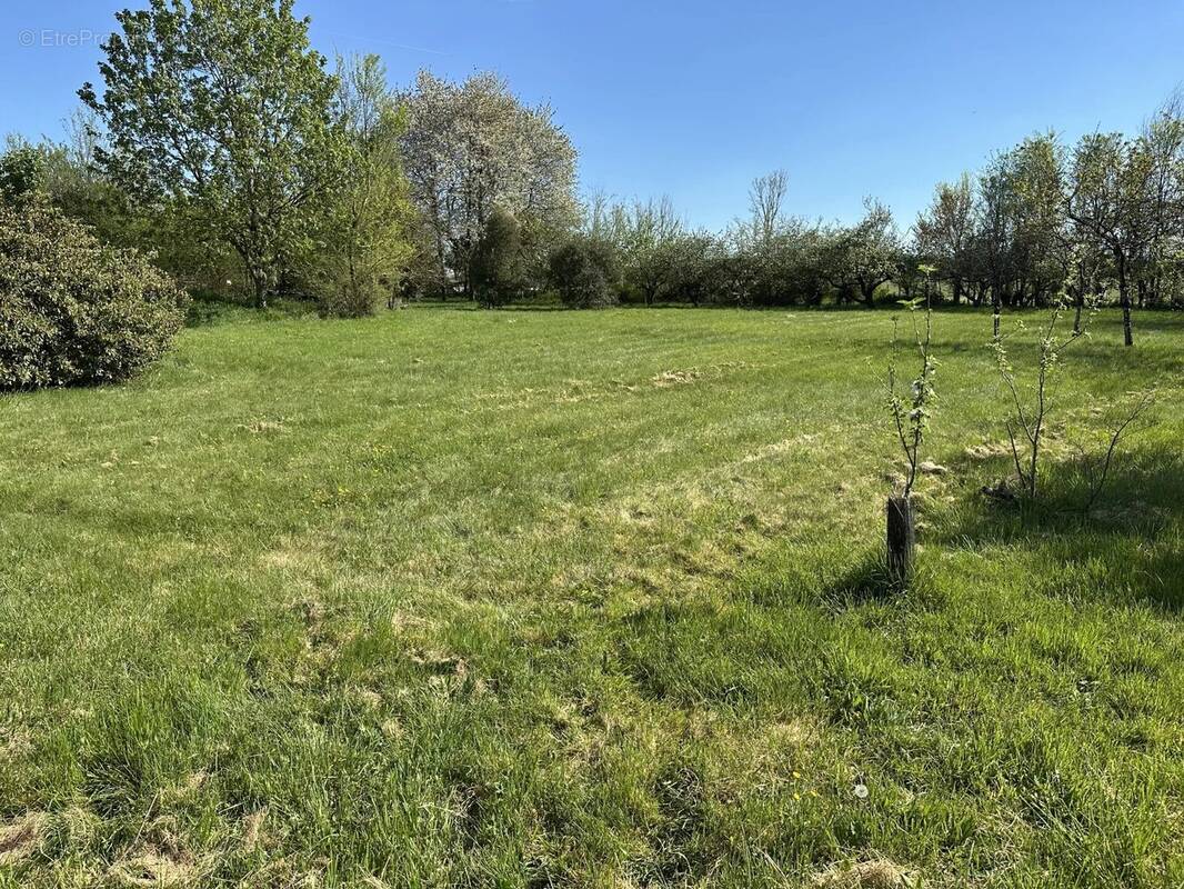 Terrain à SAINT-MAURICE-LA-CLOUERE