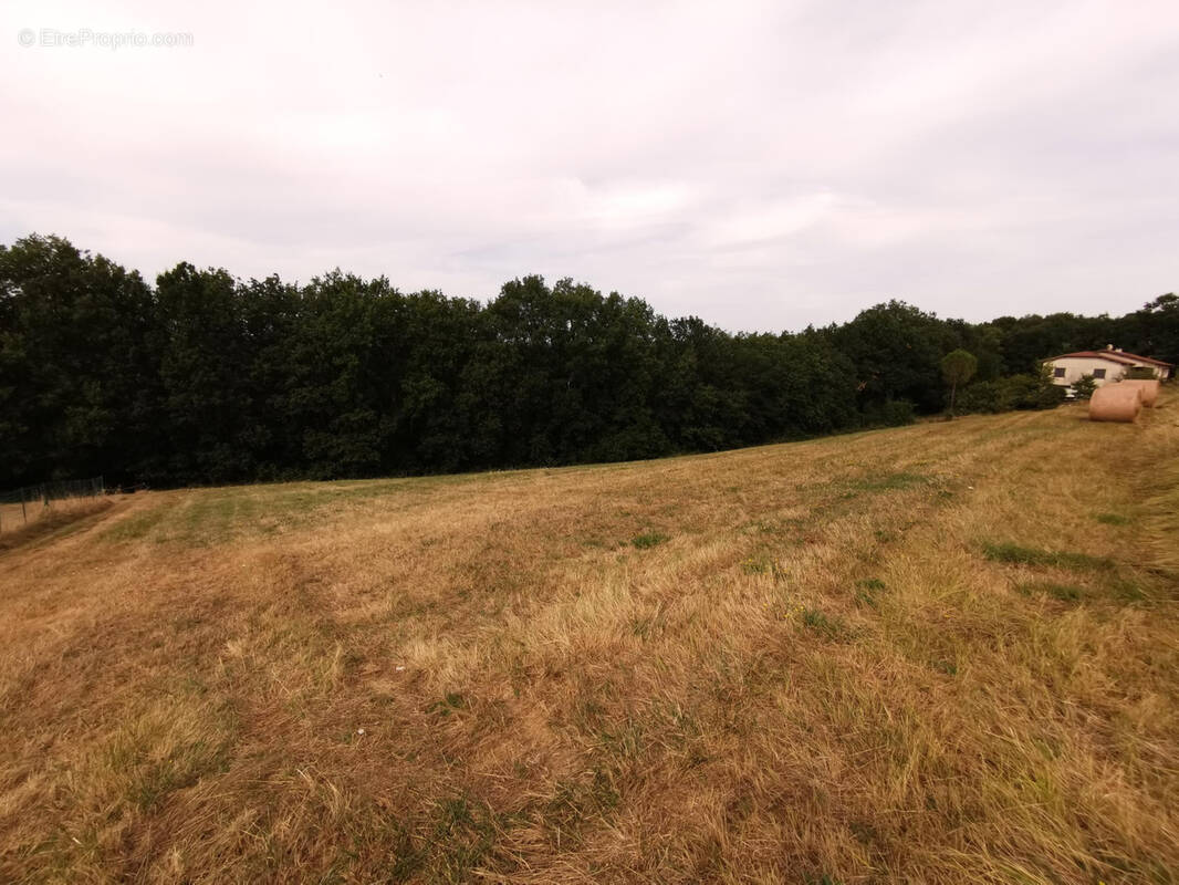 Terrain à ORDAN-LARROQUE