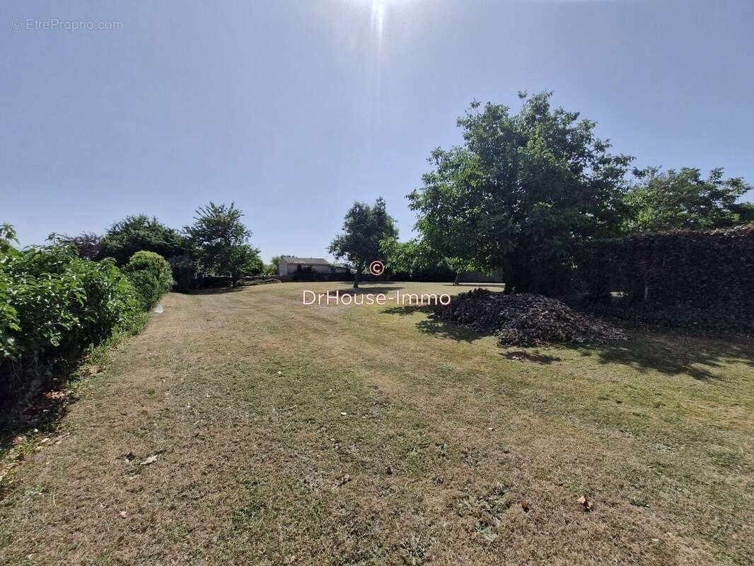 Terrain à SAINTE-NEOMAYE