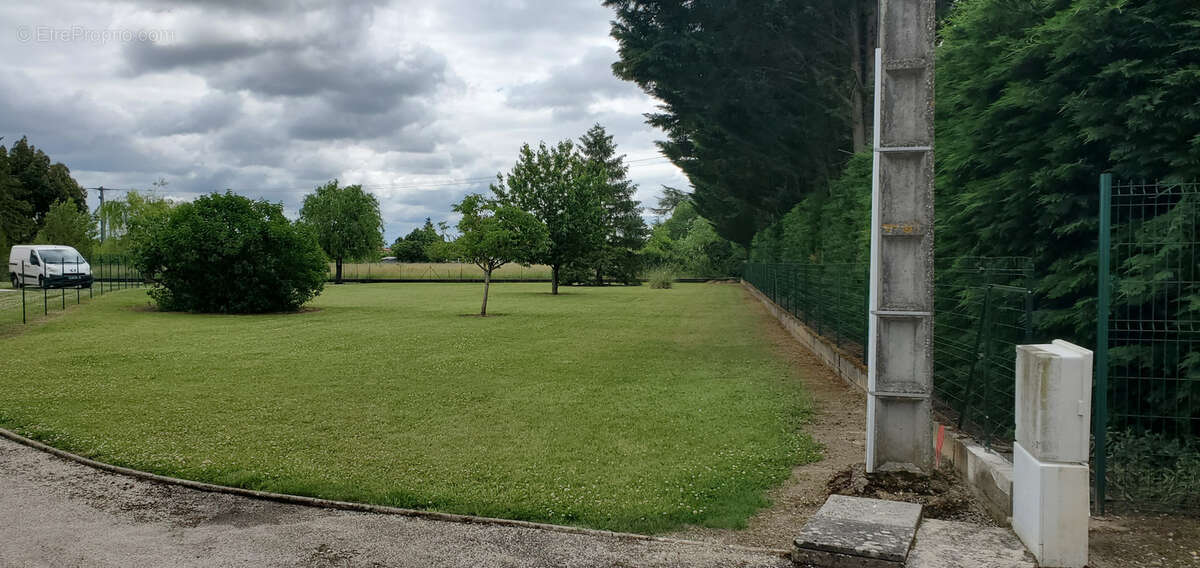 Terrain à GAILLAC