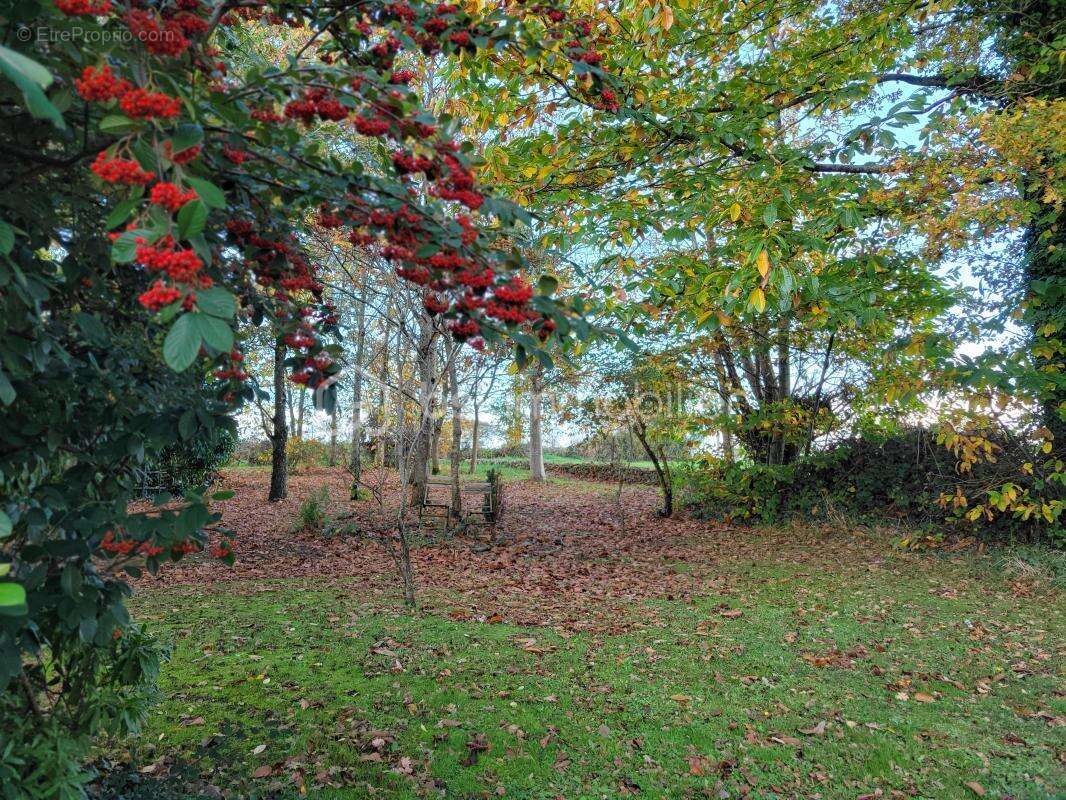 Maison à HEMONSTOIR