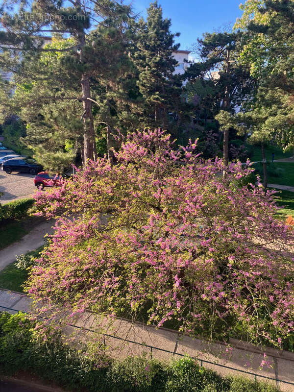 Appartement à SURESNES