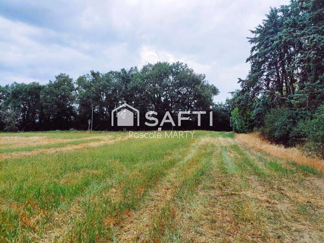 Photo 2 - Terrain à MONTJOIRE