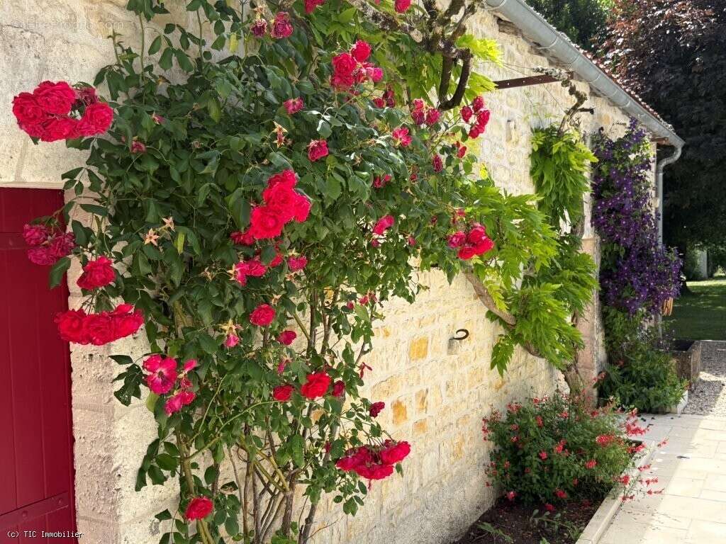 Maison à AIGRE