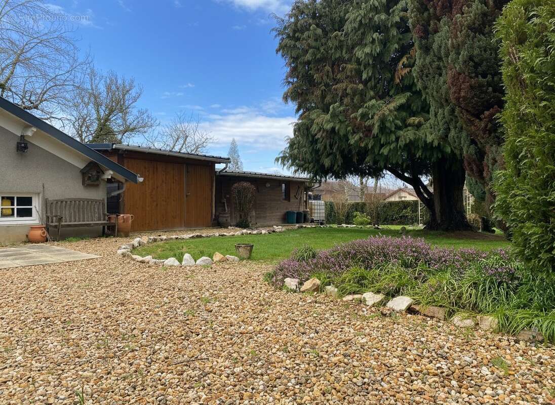 Maison à CHATEAUNEUF-LA-FORET