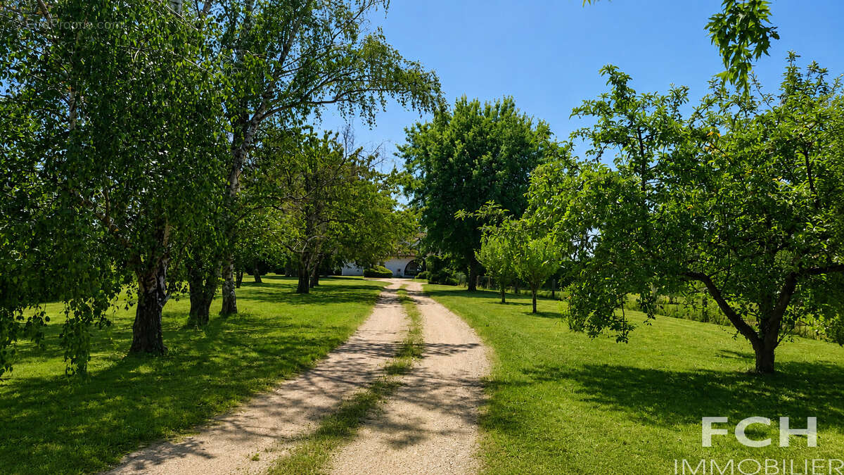 Villa d'architecte de plain-pied sans vis-à-vis - photo 22
