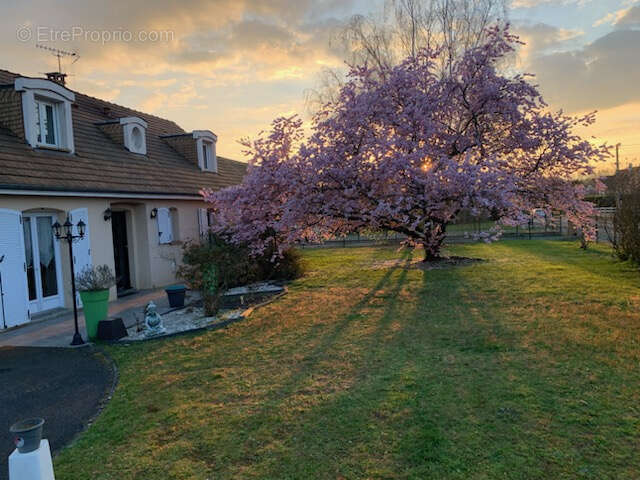 Maison à ROEZE-SUR-SARTHE