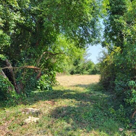 Maison à LA CHAPELLE-POUILLOUX