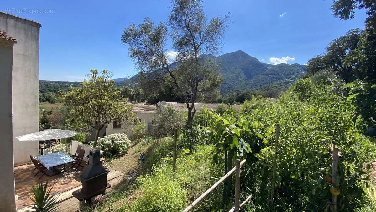 Appartement à SAN-NICOLAO