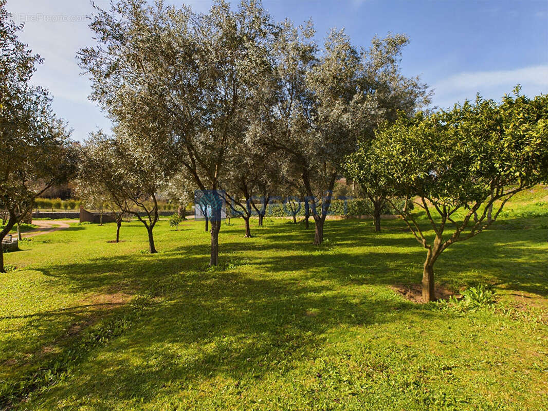 Maison à ECCICA-SUARELLA