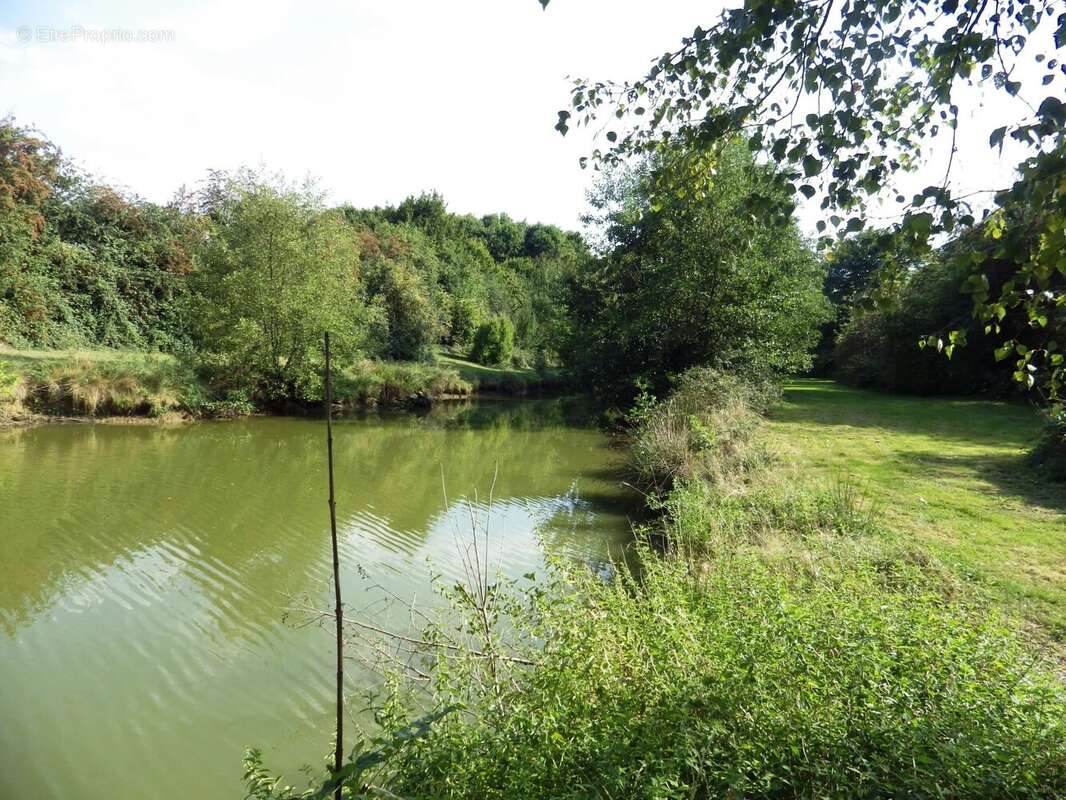 Terrain à VILLEREAU