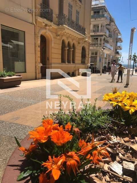 Commerce à SAINT-RAPHAEL