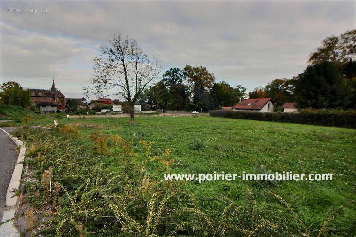 Terrain à NERNIER