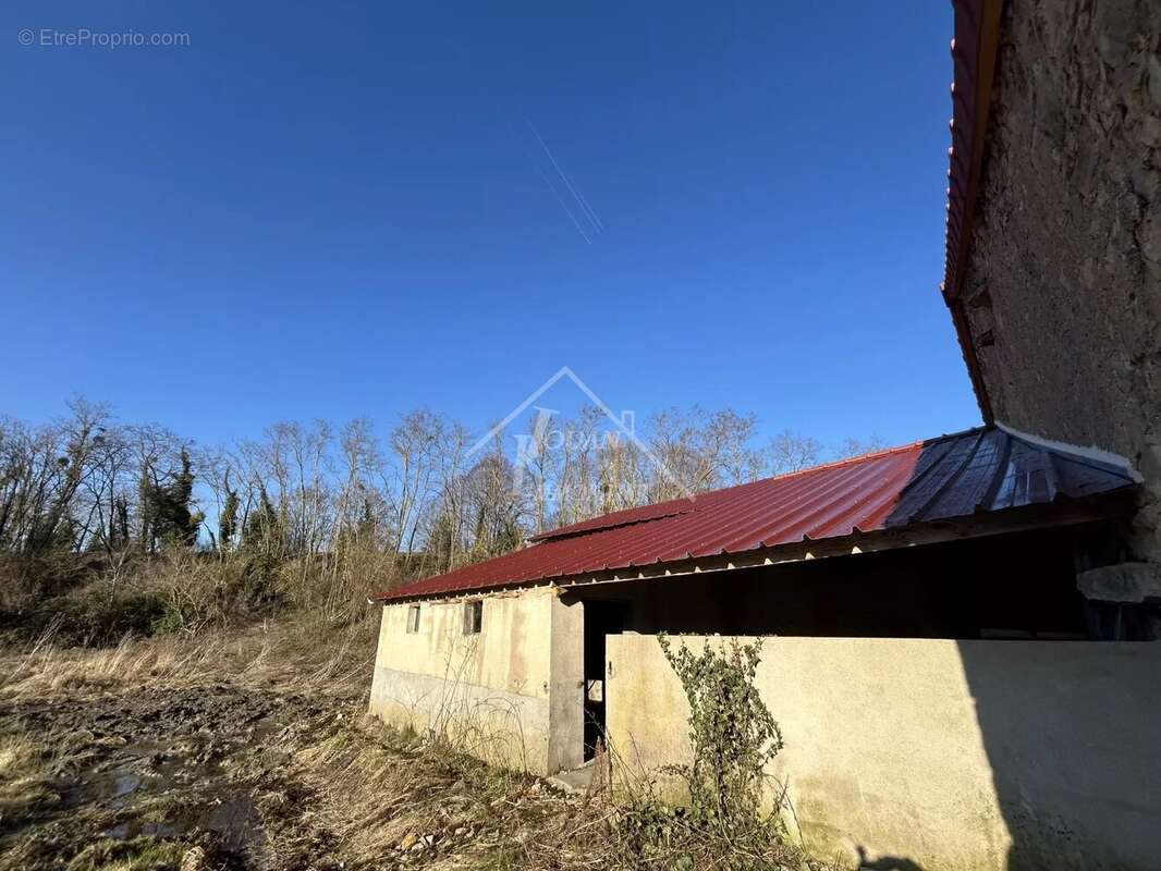 Commerce à BELLENAVES