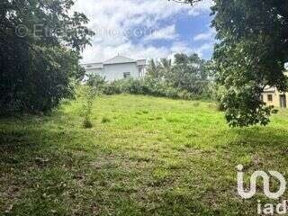 Photo 6 - Terrain à SAINT-PIERRE