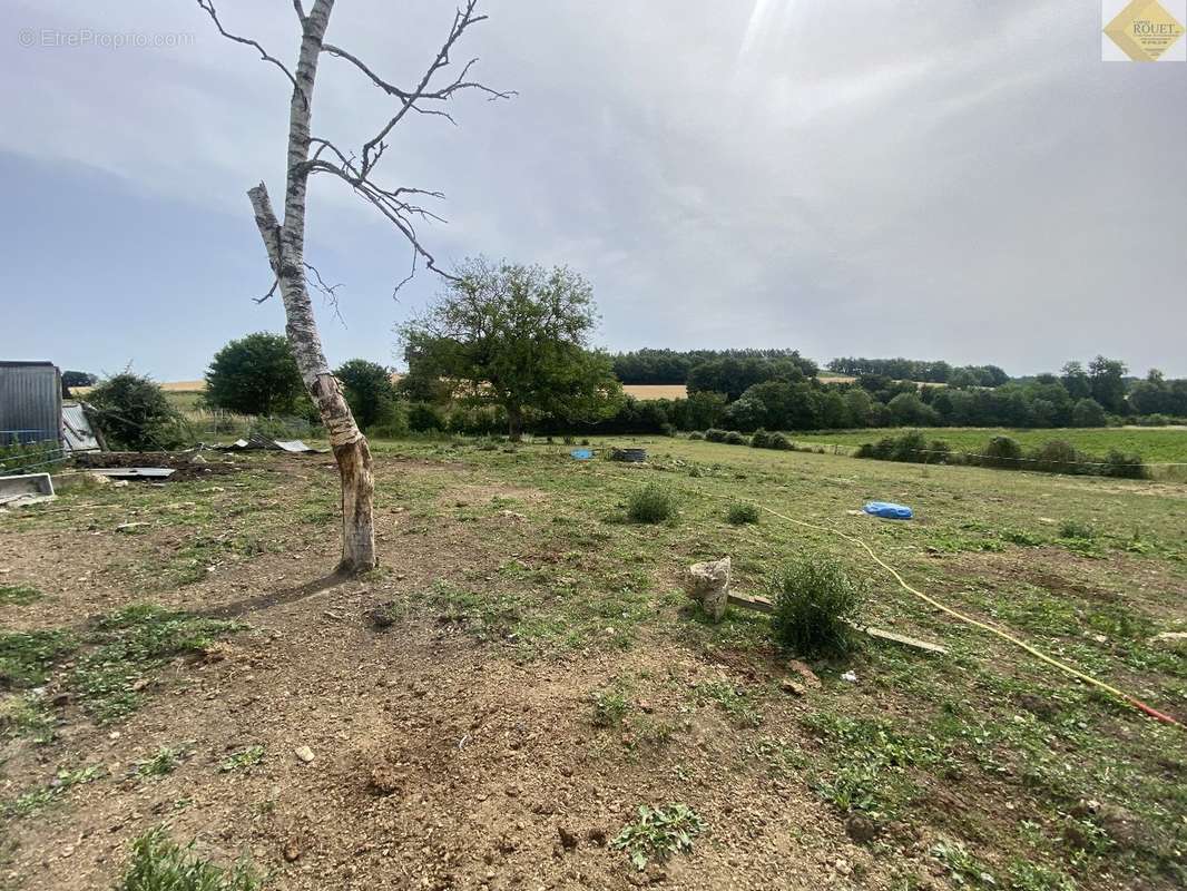 Maison à COUSSAY-LES-BOIS