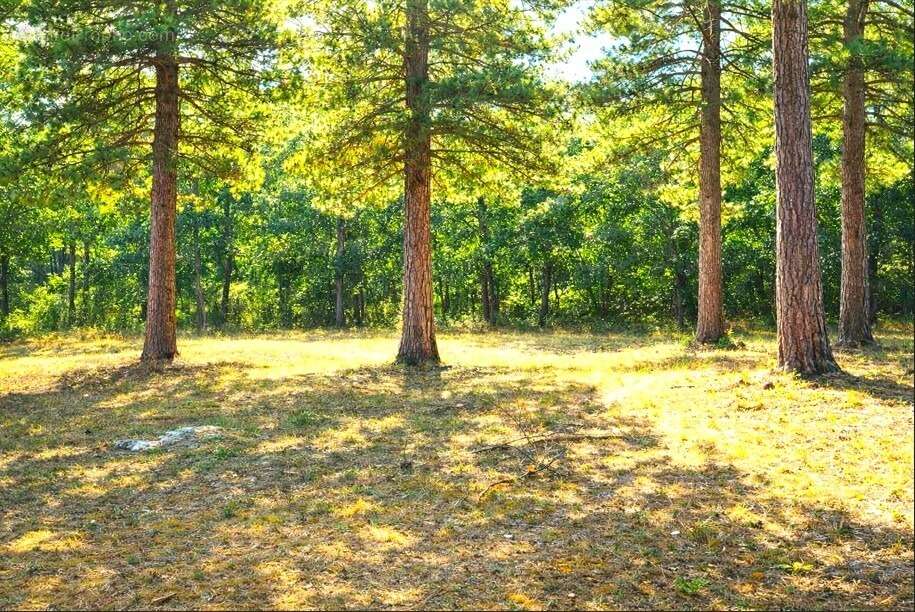 Terrain 650 m² à Brignoles  - photo 2