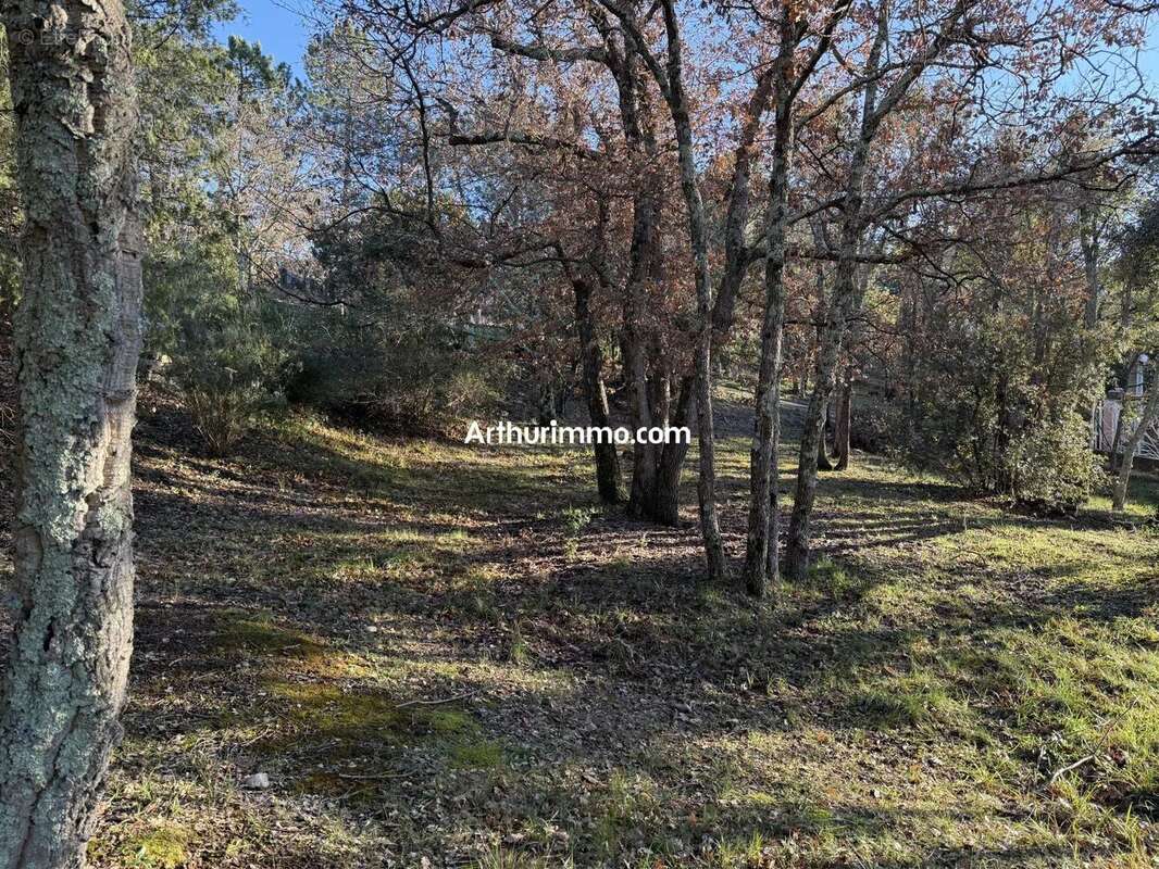 Vente Terrain Vidauban(83550) 125 000ï¿œ - photo 4