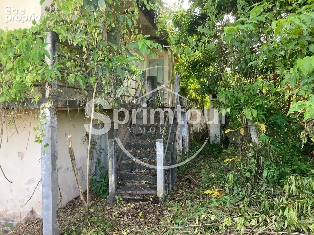 À vendre   Terrain constructible de 2999 m2 à Basse-Terre - photo 13