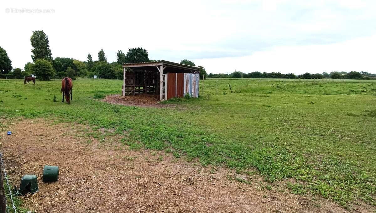 Maison à CAYEUX-SUR-MER