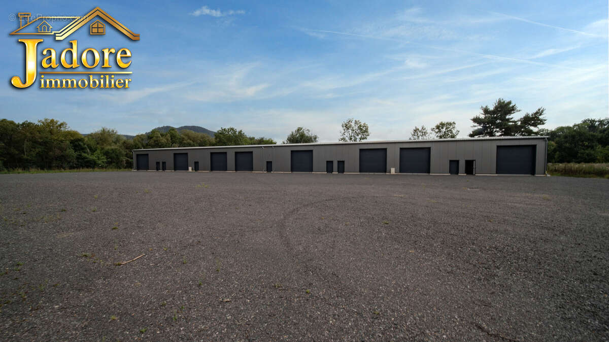 Autre à SAINT-DIE-DES-VOSGES