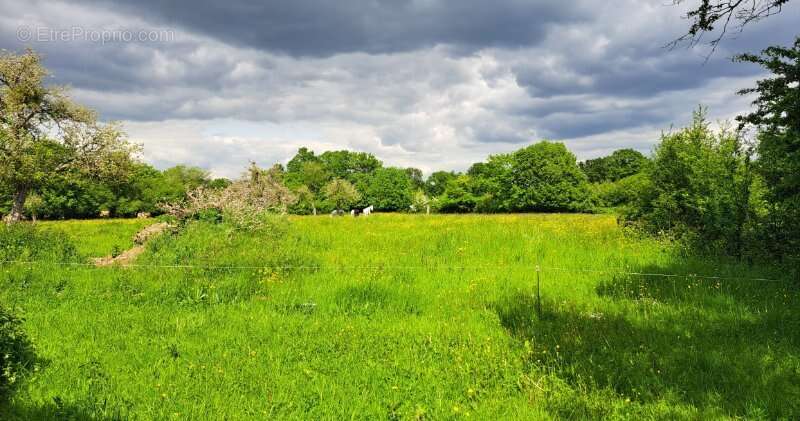 Maison à LE MENIL-GUYON