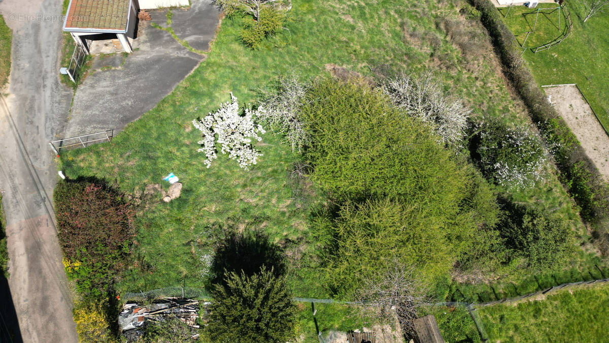 Terrain à SAINT-NIZIER-D'AZERGUES