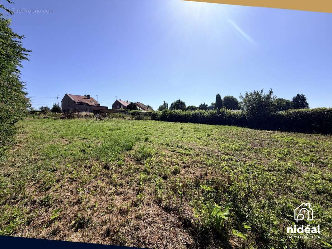 Terrain à VILLERS-POL