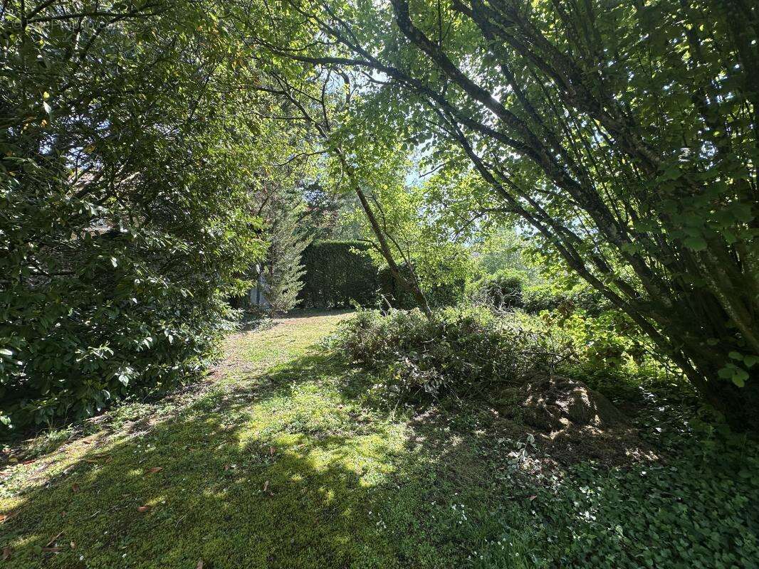 Maison 192 m² à Coulommiers  - photo 8