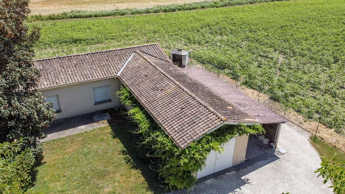 Maison à BARBEZIEUX-SAINT-HILAIRE