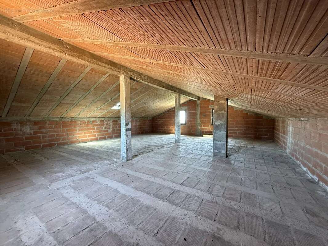 Maison à CAVES