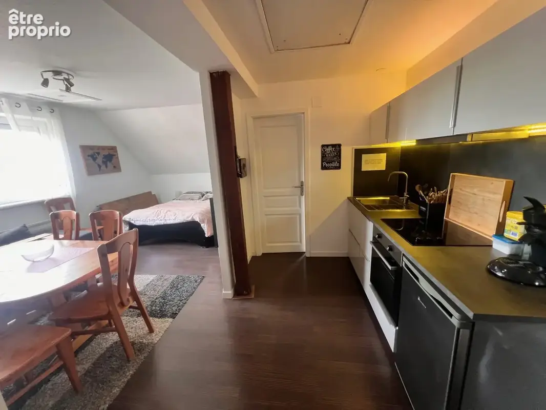 Appartement 5 pièces 171 m² à vendre à Selestat (67600) - photo 6
