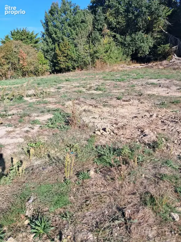 Photo Terrain à Bourgneuf-En-Retz au prix de 75 950€