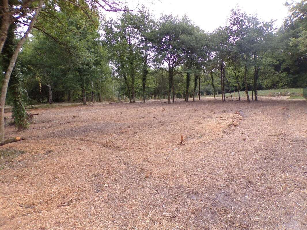 Vente Terrain Theillay(41300) 90 000ï¿œ - photo 9